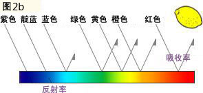 1627470648165291.jpg 3-2.jpg