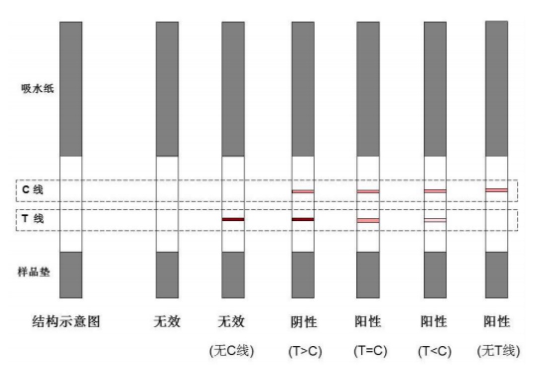 1648695996575400.jpg 1648695996575400.jpg