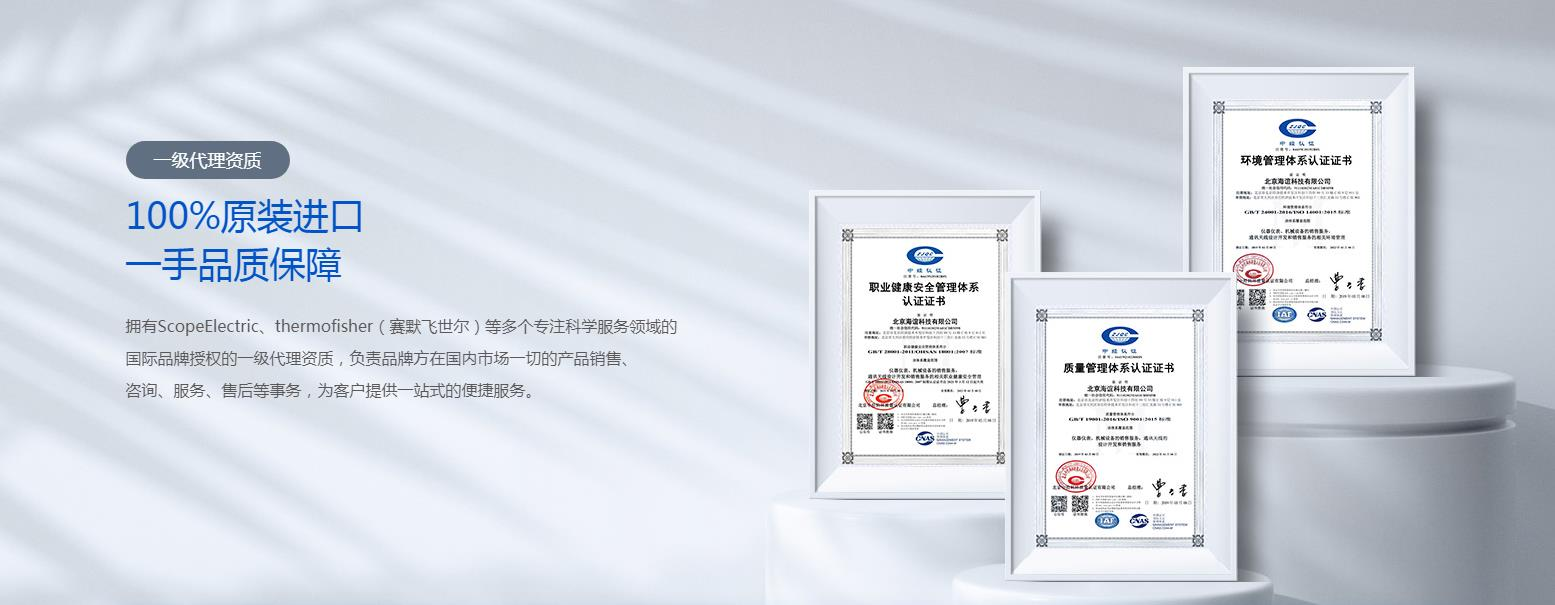 公司優勢：技術領先與專業服務并重